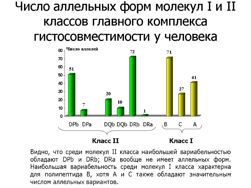 Видно, что среди молекул II класса наибольшей вариабельностью обладают DPb и DRb; DRa вообще